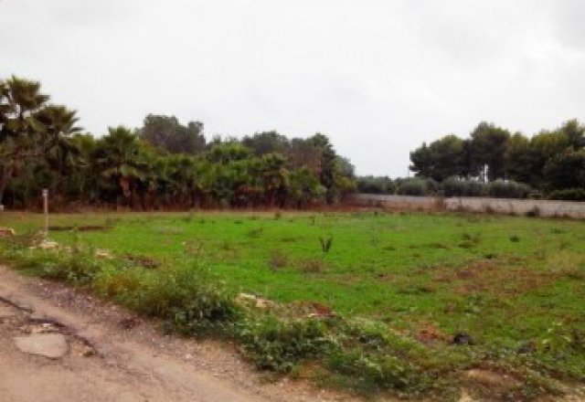  Land-agriculture-for-sale-in-Matino-in-area-device-little-away-from-center-town