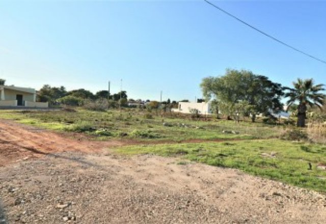 Land -for-sale-200-meters-from-the-sea-in-Torre-Suda-Racale.
