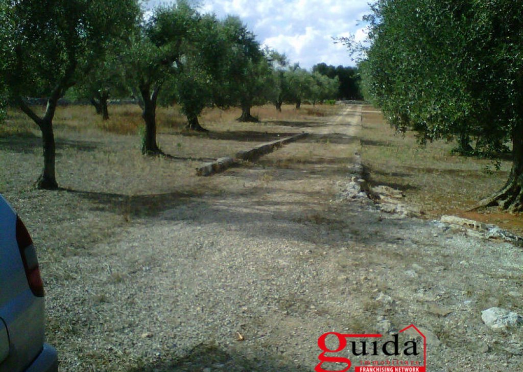 Agricultural land for sale  4200 sqm, Casarano, locality Suburban forwarded