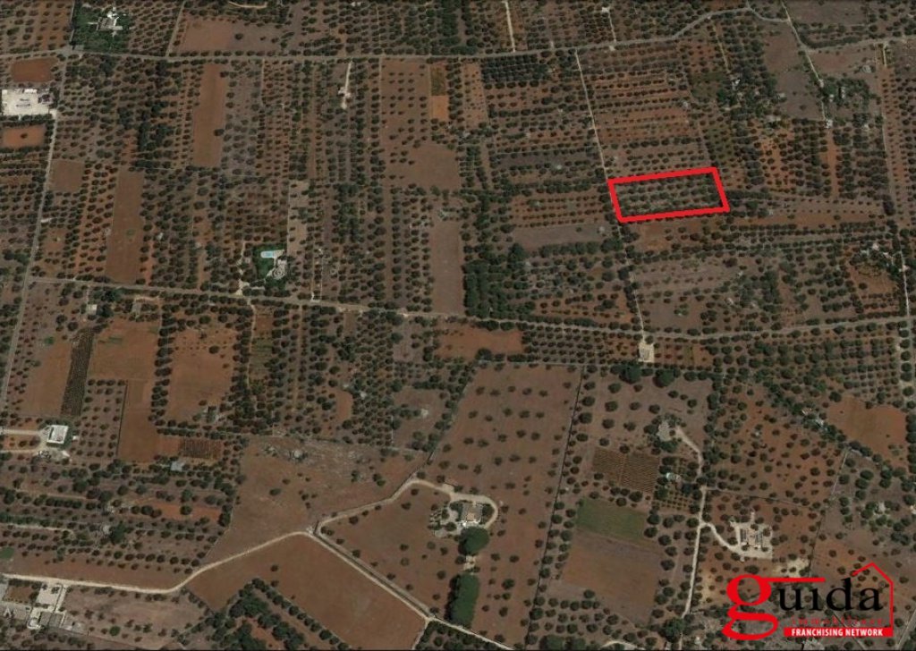 Agricultural land for sale  6220 sqm, Sannicola, locality Outskirts-Campaign