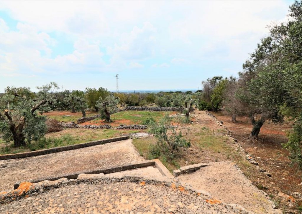 Agricultural land with ruin or casotto  for sale  2006 sqm, Parabita, locality Campaign