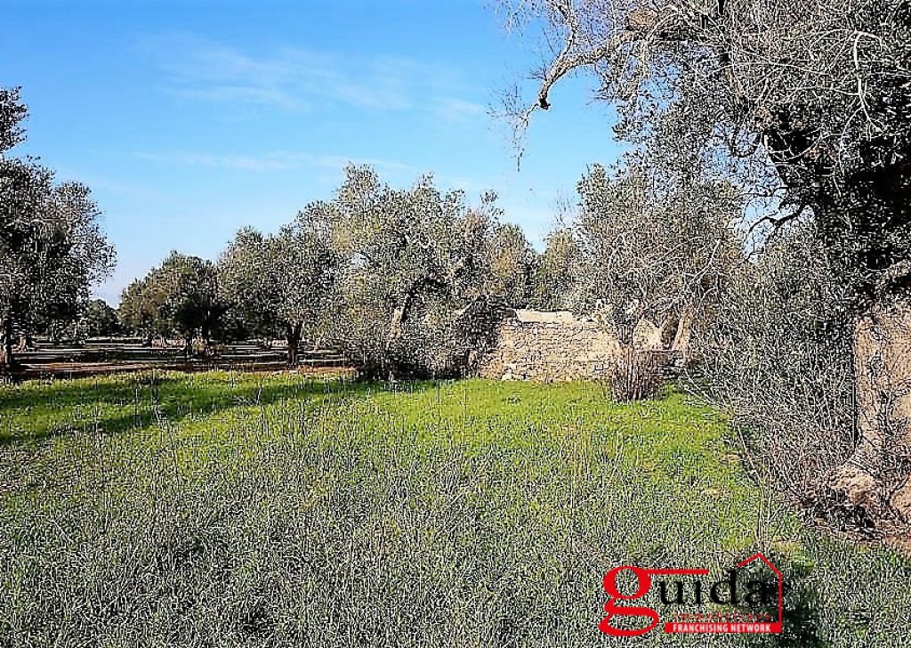 Agricultural land with ruin or casotto  for sale  4000 sqm, Casarano, locality Suburban forwarded