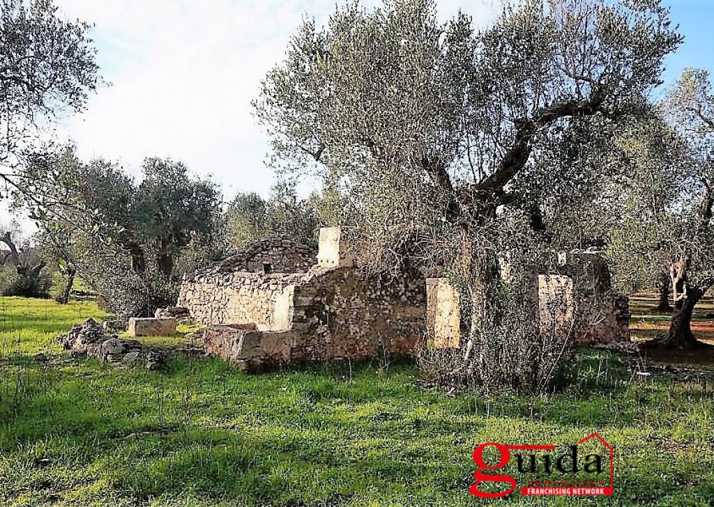 Agricultural land with ruin or casotto  for sale  4000 sqm, Casarano, locality Suburban forwarded