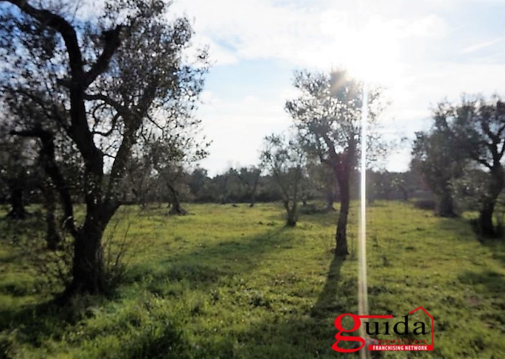 Terreno agricolo con rudere o casotto  in vendita  4000 m², Casarano, località Periferia inoltrata
