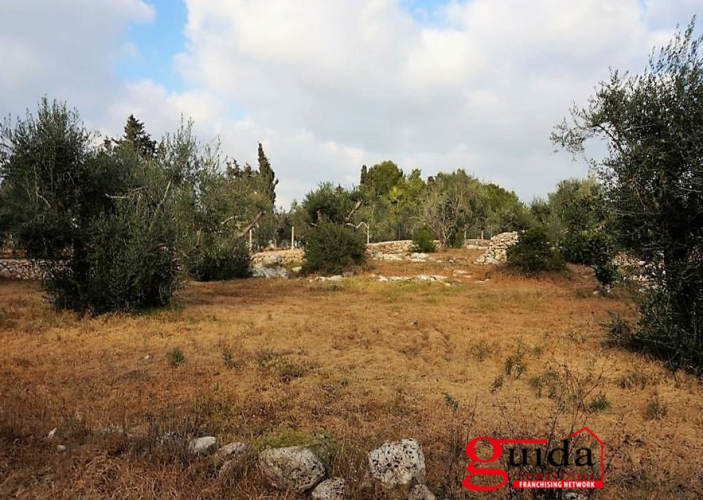 Agricultural land for sale  8940 sqm, Sannicola, locality Chiesanuova