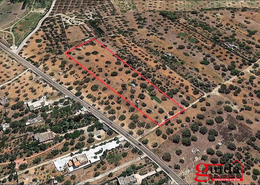 Building land for sale  6390 sqm, Gallipoli, locality Suburbs