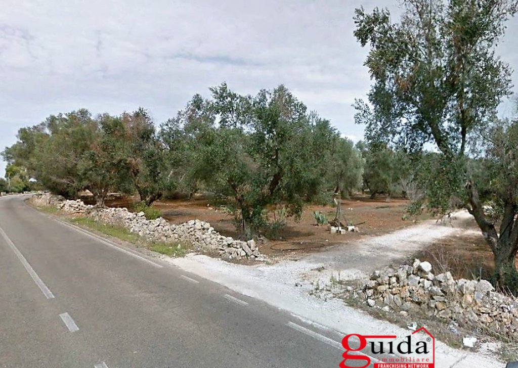 Terreno con progetto approvato  in vendita  9710 m², Sannicola, località Periferia-Campagna
