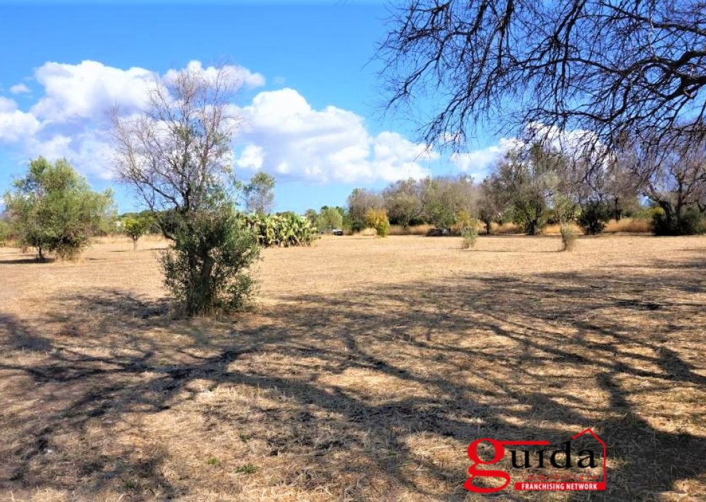 Agricultural land for sale  3266 sqm, Matino, locality Outskirts Campaign Rural