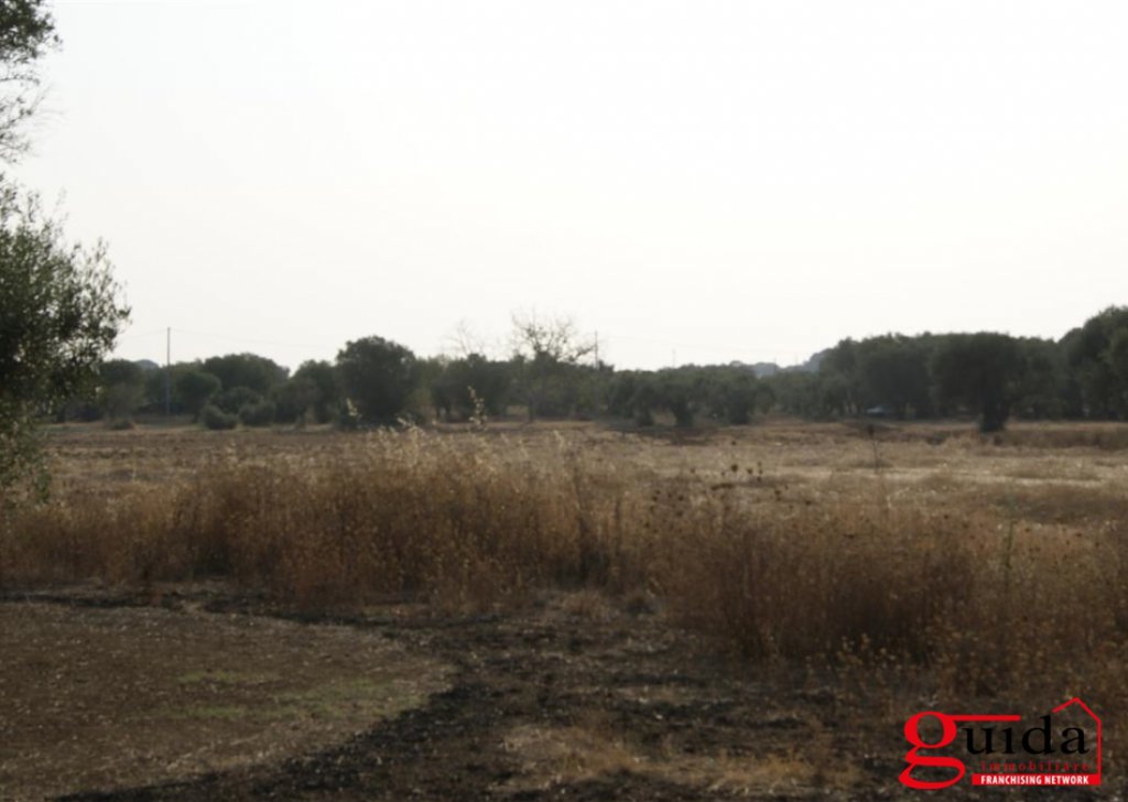 Building land for sale  8000 sqm, Matino, locality Seed device