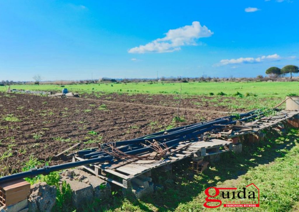Agricultural land for sale  4330 sqm, Matino, locality Outskirts Campaign Rural