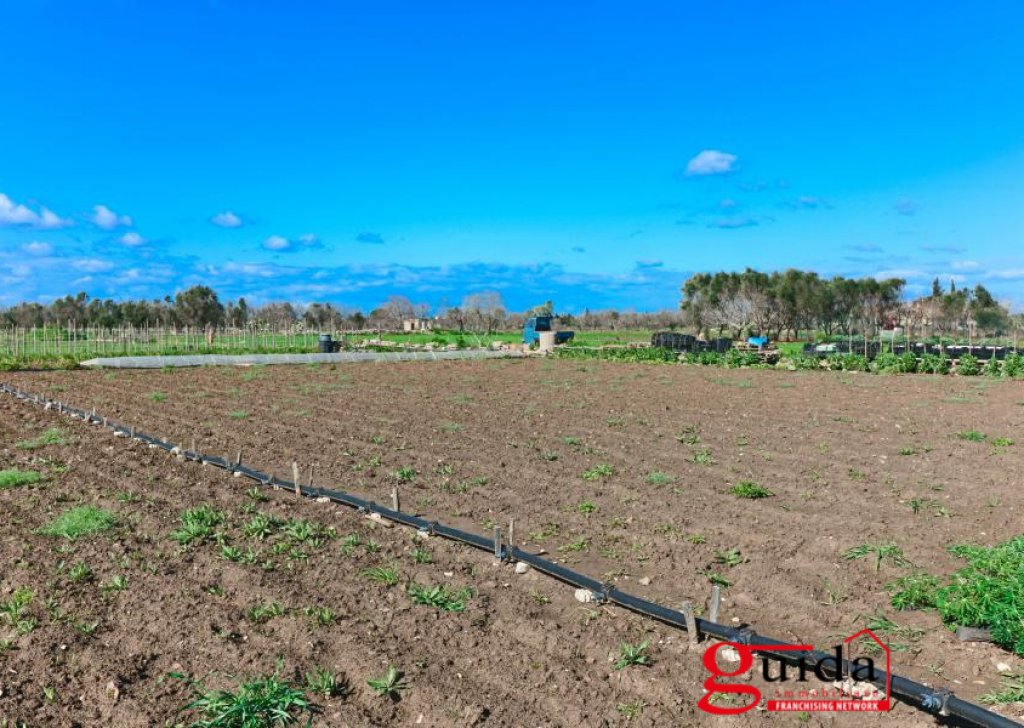 Vendita Terreno agricolo Matino - Terreno Agricolo con impianto di irrigazione e pozzo sorgivo Località Periferia Campagna 