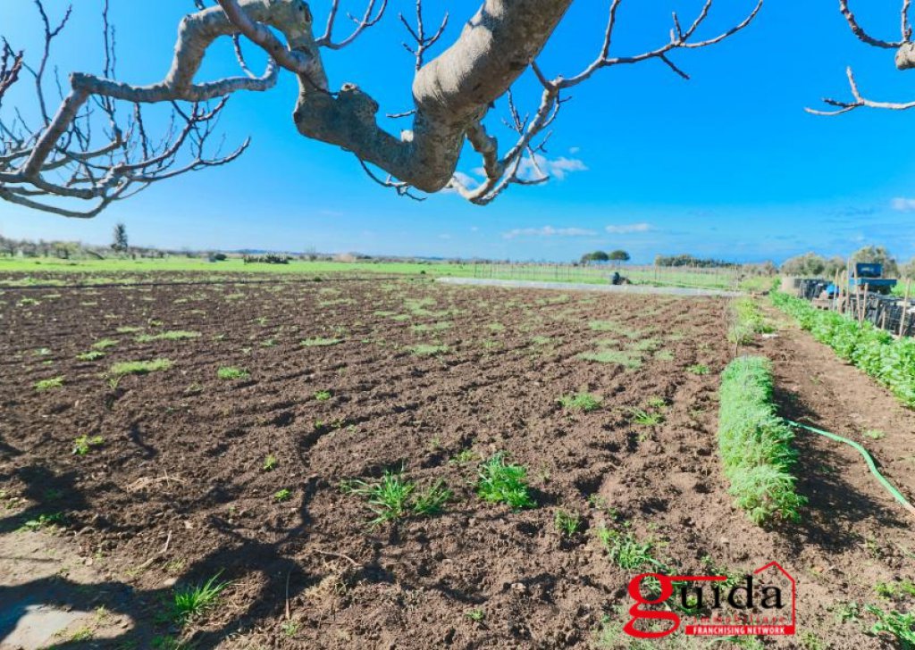 Terreno agricolo in vendita  4330 m², Matino, località Periferia Campagna