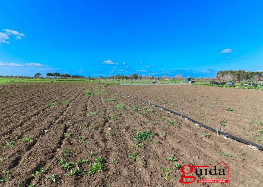 Terreno agricolo in vendita  4330 m², Matino, località Periferia Campagna